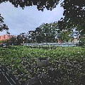 горького5