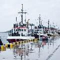 P2017879.jpg
