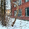 IMG_1761 Воздушная.jpg