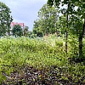 IMG_4058.JPG