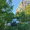 дадаева