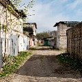 P2030924.jpg