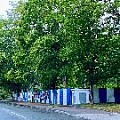 IMG_4100.JPG