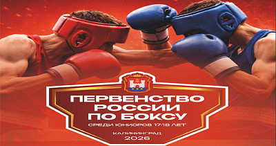 Первенство России по боксу (6+)