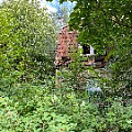 IMG_2548.JPG