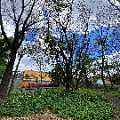 IMG_2290.JPG