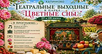 Цветные сны (0+)