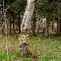 P2030870.jpg
