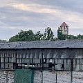 IMG_9557.JPG