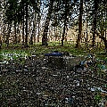 P2030949.jpg