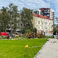 IMG_3047 вырубка Фрунзе.jpg