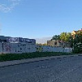 IMG_3496.jpg
