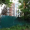565A0038.JPG