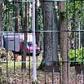 IMG_0260.JPG