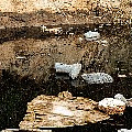 P1100503.jpg