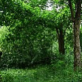 565A9738.JPG