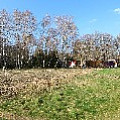 565A8459.JPG