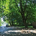 565A9338-1.jpg