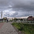 DSC4_елизаветинская,жд переход,железная дорога,безопасность,сельма