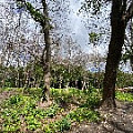 IMG_2301.JPG