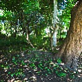 565A9347-1.jpg