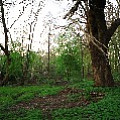 565A8814.JPG