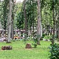 IMG_0229.JPG