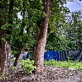 IMG_4034.JPG