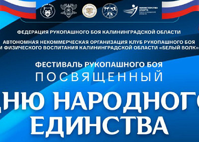 Фестиваль рукопашного боя, посвященный Дню народного единства (6+)