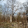 P2030909.jpg