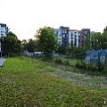 565A0148.JPG