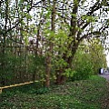 565A8847.JPG