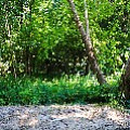 565A9351-1.jpg