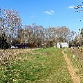 565A8460.JPG