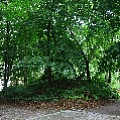 565A9639.JPG