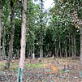 IMG_0322.JPG