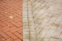 «Проредили Каштановый парк»