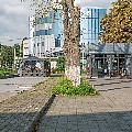 P1110743.jpg