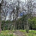 IMG_2303.JPG