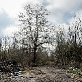P2030915.jpg