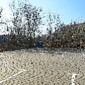 565A8464.JPG