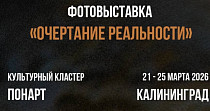 Очертание реальности (12+)