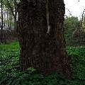 565A8816.JPG