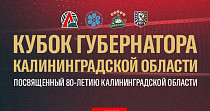 Кубок губернатора по волейболу (0+)