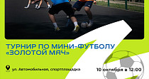 Золотой мяч (0+)