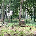 IMG_0279.JPG