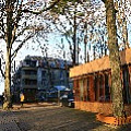 565A1231.JPG
