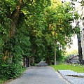 565A0088.JPG