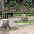 IMG_0253.JPG