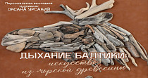 Дыхание Балтики: искусство из морской древесины (6+)